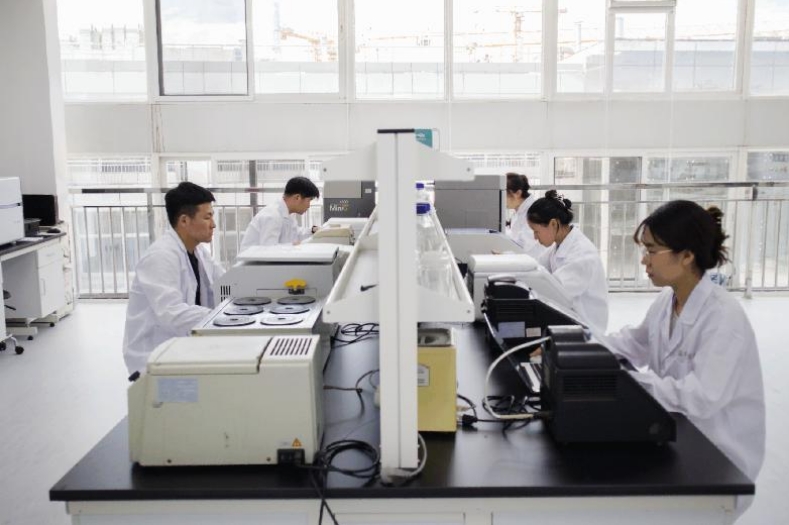 国投系基金：发挥基金投资放大效应 加速培育战新产业