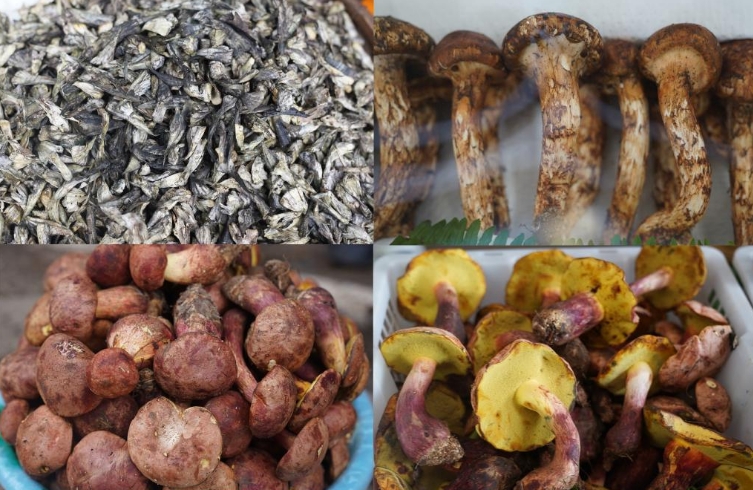 云南昆明：野生菌大量上市