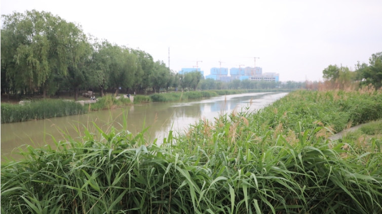 长江水唤醒北方小城
