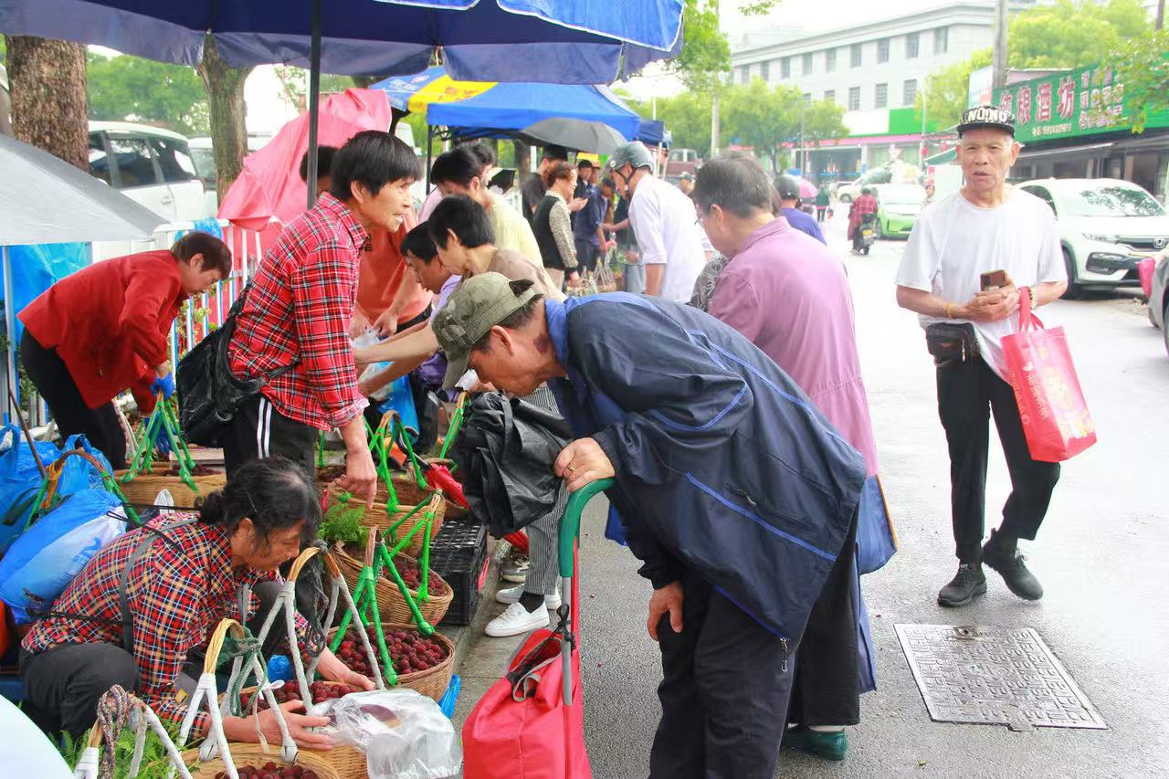 浙江宁波：江北区延续9年的“杨梅街”藏着最甜的烟火气