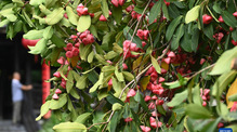 image4