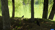 image4