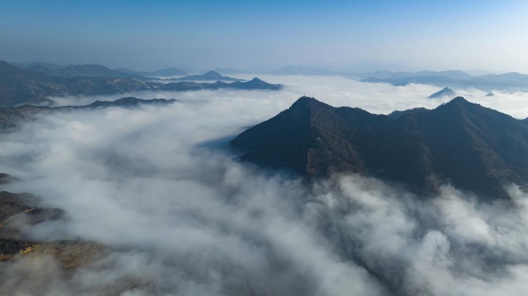 一瓶水的振兴路：陇山十九泉带动甘肃康县生态富民
