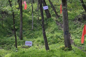 铭记历史 缅怀先烈丨白山黑水见证：从烽火硝烟到振兴热土的巨变