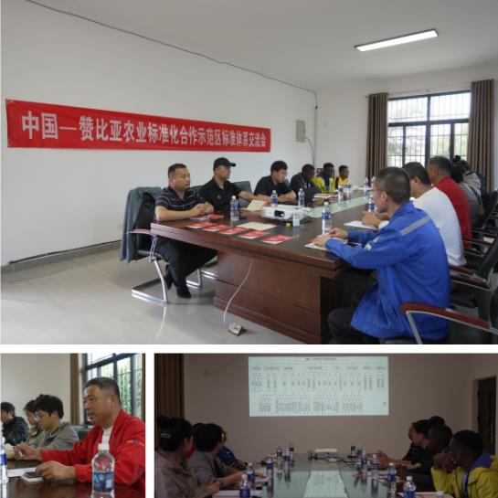 以标准规则“软联通”促进中非人民“心联通”  