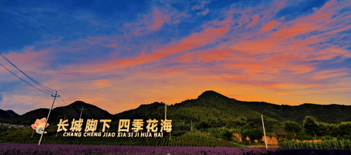 微信截图_20250721091131