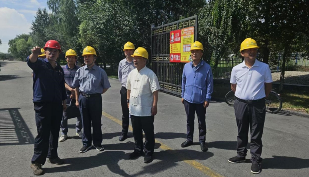 “科创中国”绿色勘查与智慧矿山科技服务团走进新疆