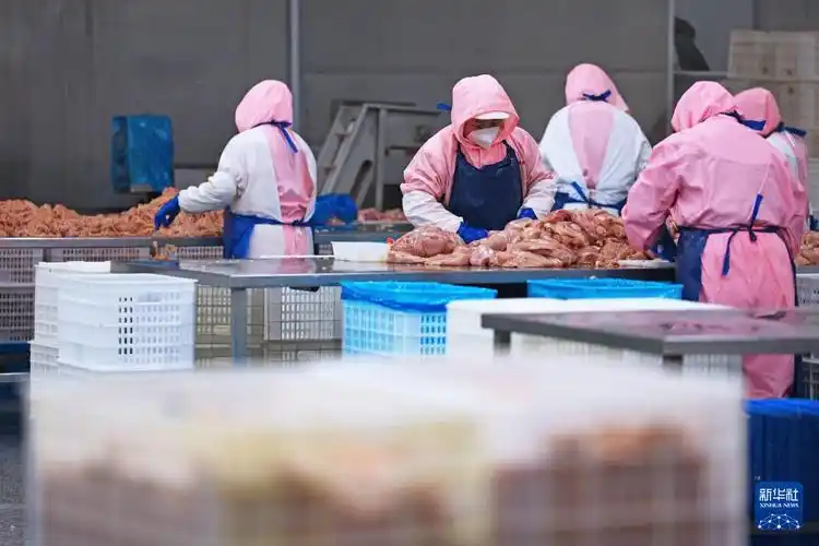 两部门：开展食品加工领域生物制造创新技术应用方向征集工作