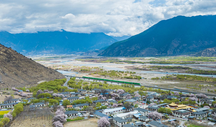 游客在西藏林芝市巴宜区嘎拉村欣赏桃花（2025年4月2日摄）。新华社记者 晋美多吉 摄