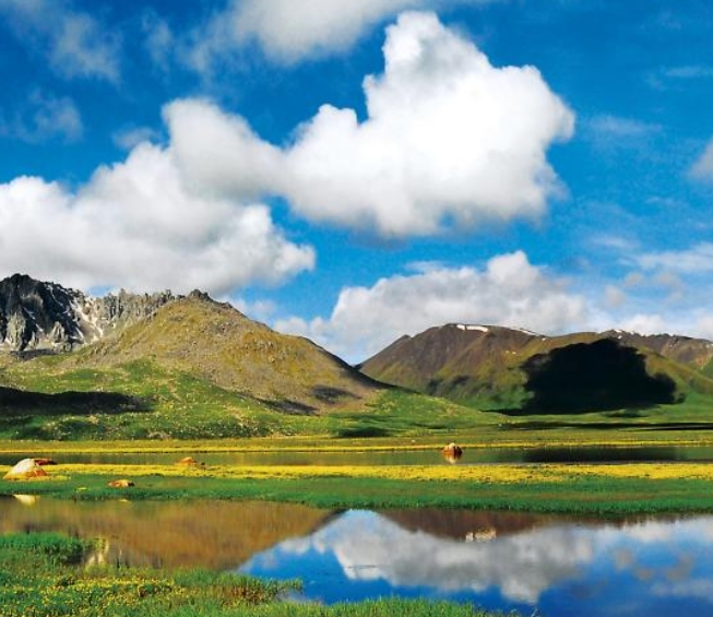 这几组数据，绘就国家公园和合之美