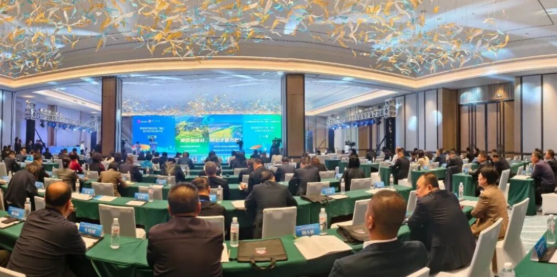 塞上驼城绘出两岸融合发展新图景