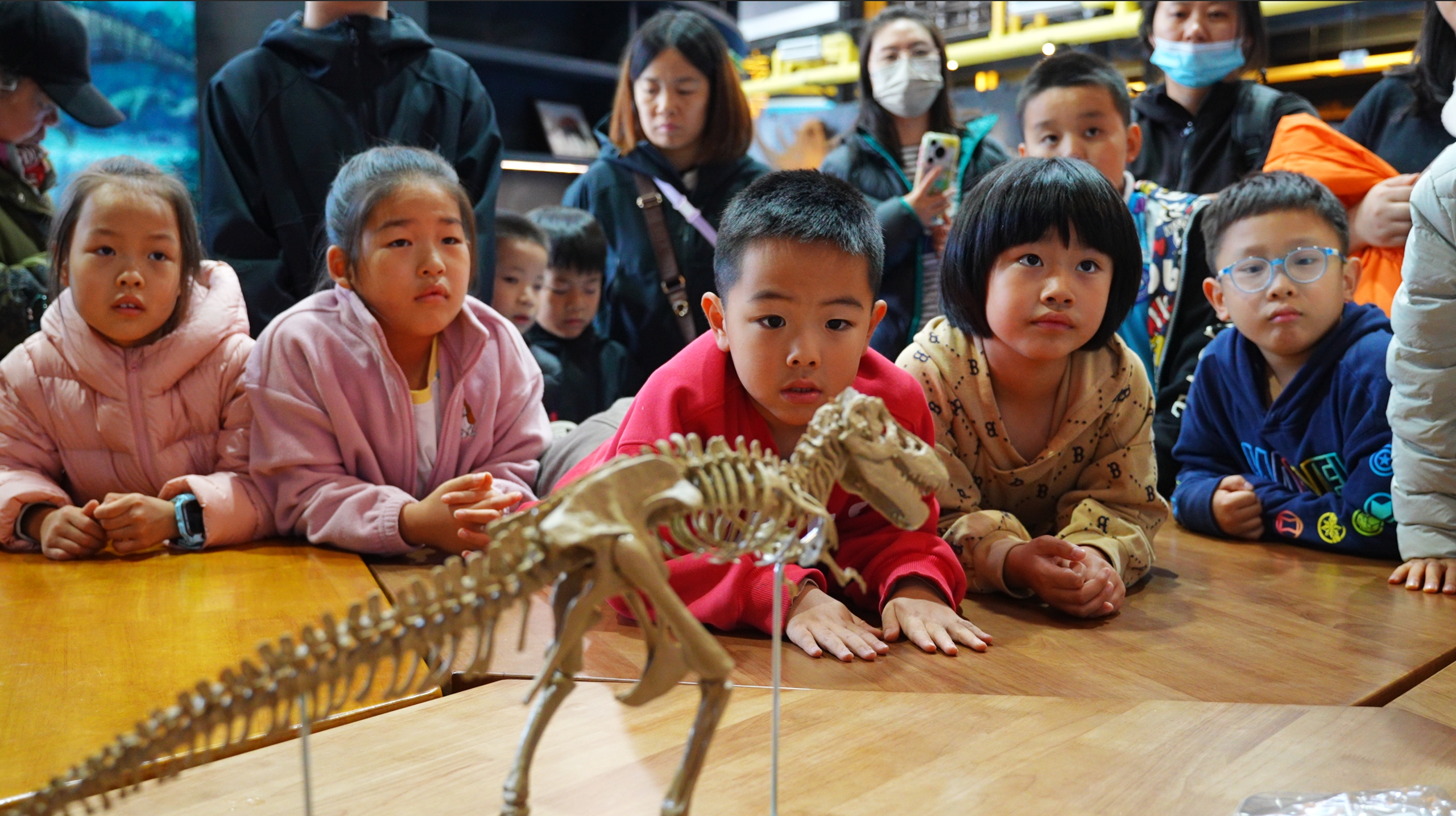 中国科学院第八届科学节——中国科学院古脊椎动物与古人类研究所活动在世园拉开帷幕