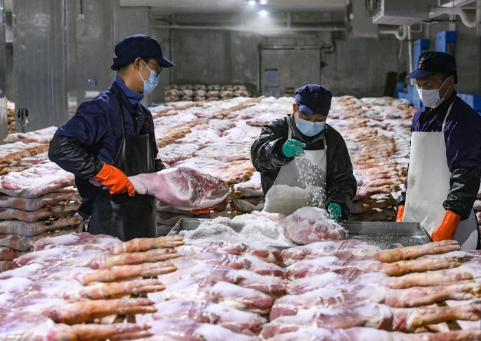 浙江金华：火腿腌制进入忙碌季节