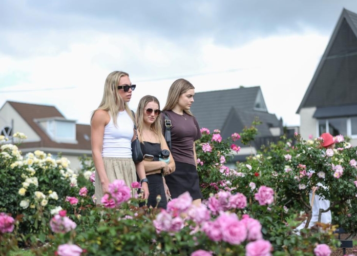 新西兰：鲜花盛放引游人