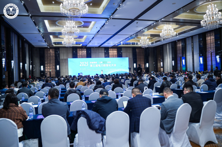 2025电力数智化大会在京召开