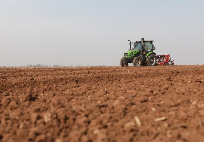 全国冬小麦播种近七成
