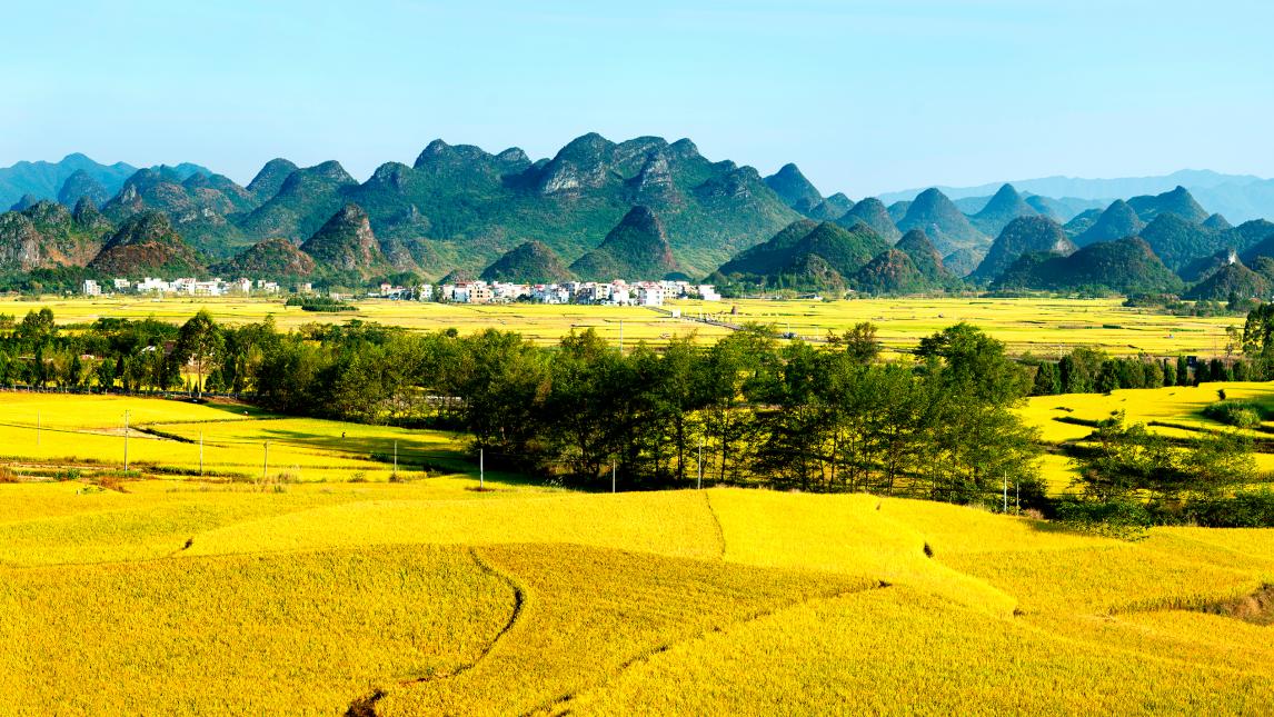 九嶷山下“双收田”，烟稻齐香话丰年