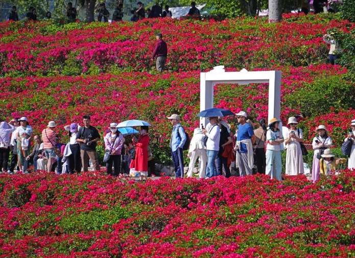 冬来赏花正当时