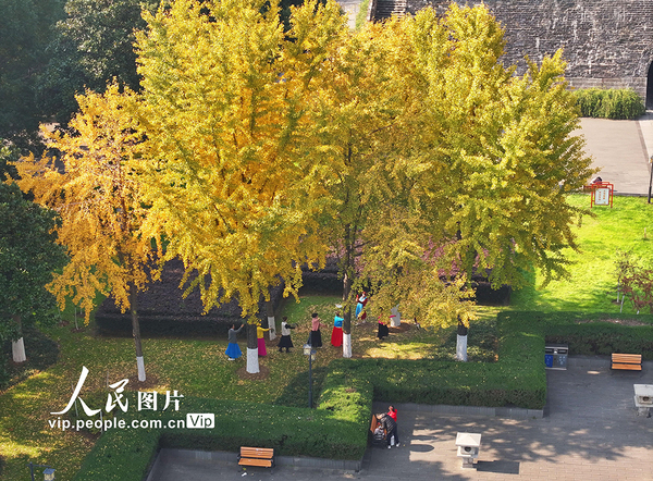 MAIN1763946028467F88N0KLJP4