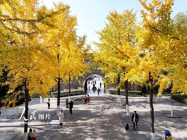 MAIN176394602853799M6ESKS76