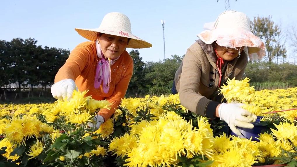 希望的田野上，奋斗正当时