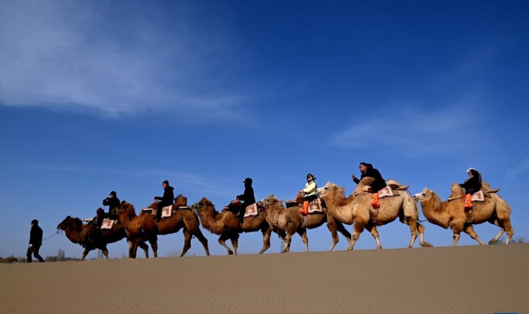 甘肃敦煌：大漠驼影