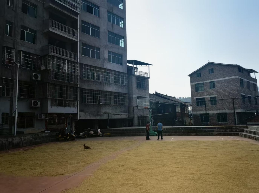 育才兴村添活力，绘就黔东南苗寨新图景