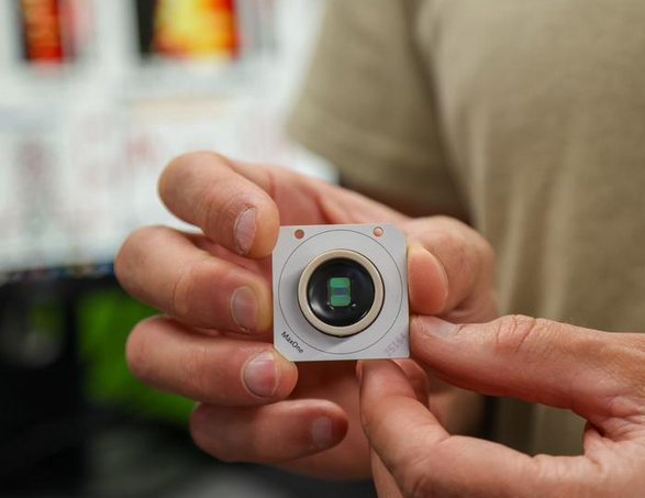 类器官研究揭示大脑天生预置“操作系统”