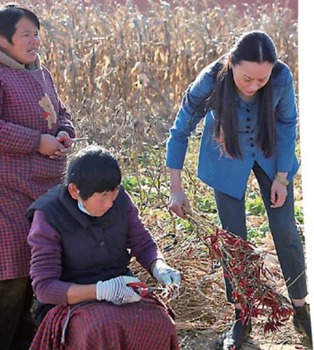 360截图20251204111855313