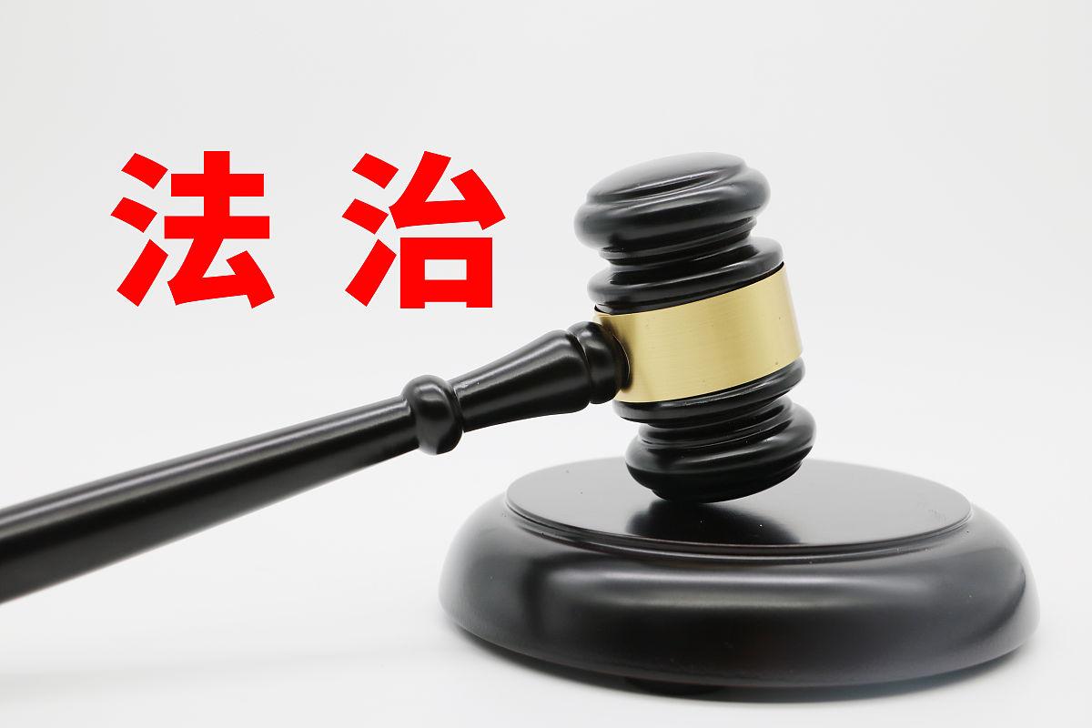 深学笃行习近平法治思想 为法治中国建设贡献力量