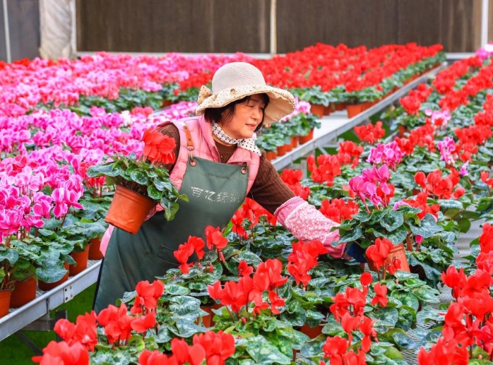 山东即墨：“花卉经济”助力乡村振兴