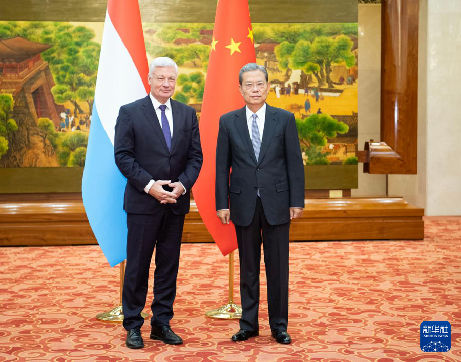赵乐际同卢森堡国民议会议长维斯勒会谈