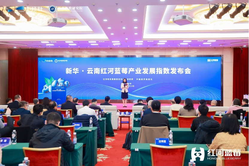 从高产种植到年轻群体“种草”：红河蓝莓产业发展指数揭示特色农业发展方案