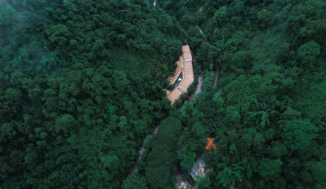 北纬21°雨林康养，且看“勐远样本”