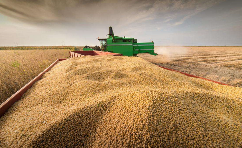 绘就2026“三农”高质量发展新图景