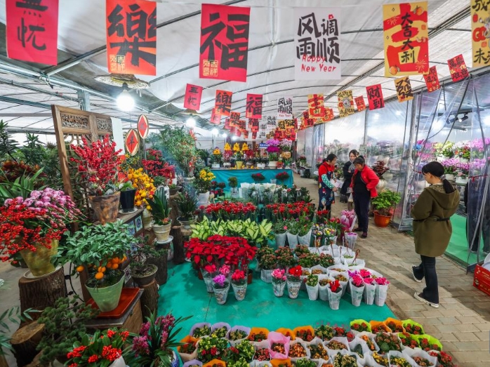 浙江绍兴：年宵花卉迎新年