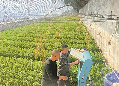 科技青年下乡记