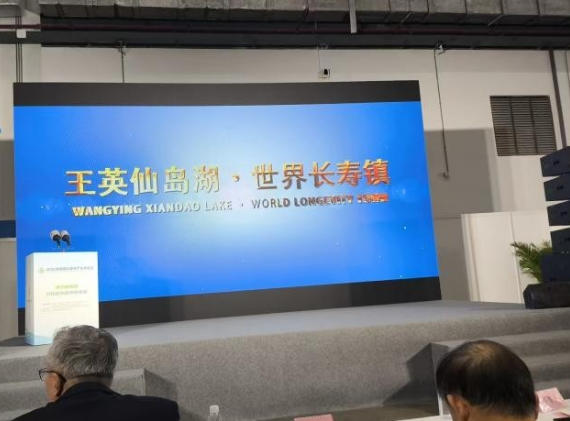 阳新仙岛湖亮相海南康博会