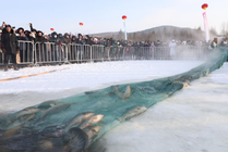 “神州北极”漠河上演冬捕