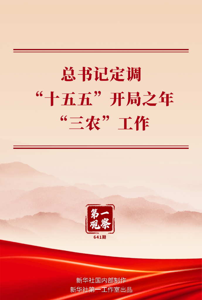 第一观察 | 总书记定调“十五五”开局之年“三农”工作