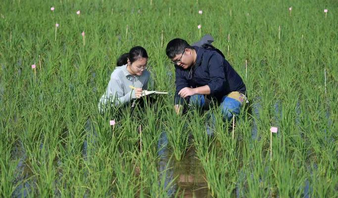 习近平总书记关切事丨攥紧中国种子