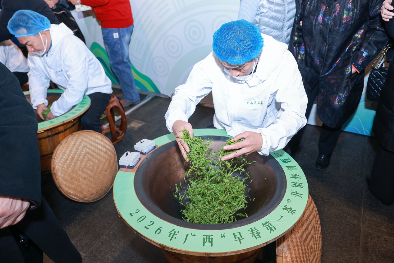 广西“早春第一茶”亮相北京老舍茶馆