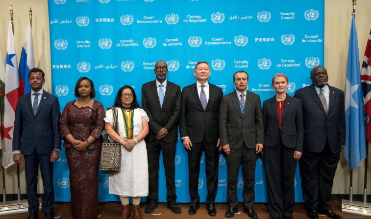 巴林等5国开始担任安理会非常任理事国