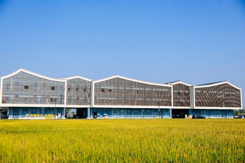 “运营乡村”，乡村CEO走向“留得久”