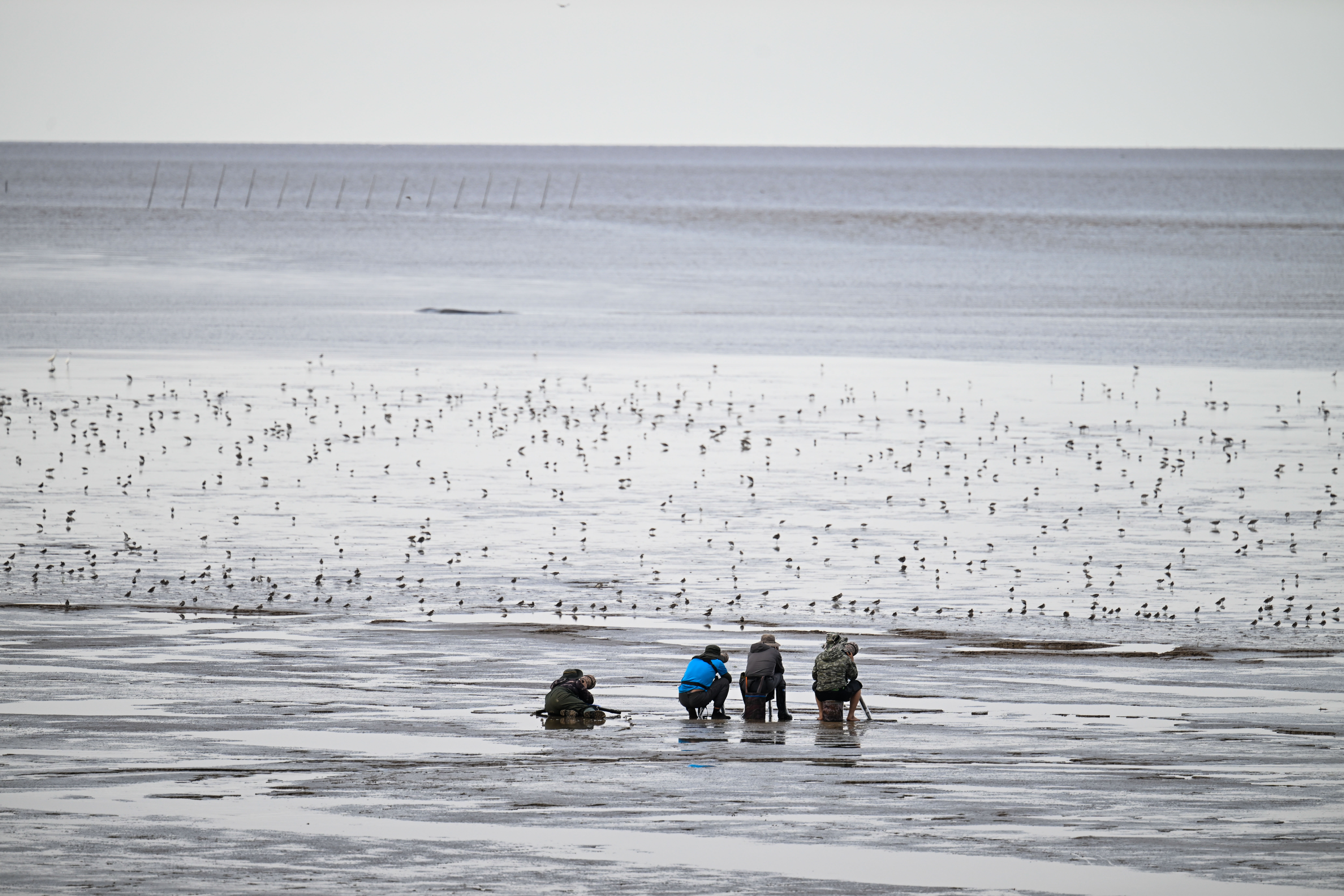 镜头中的“美”不能以“伤害”为代价
