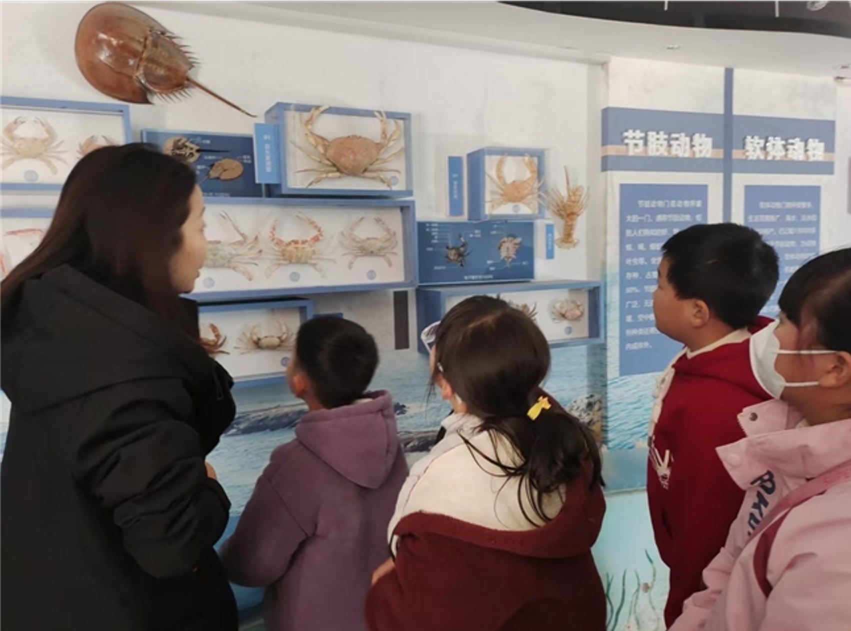 蓝海科普润童心，亲子携手护蔚蓝