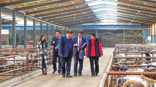 工行甘肃省分行员工在现场调查养殖户情况。