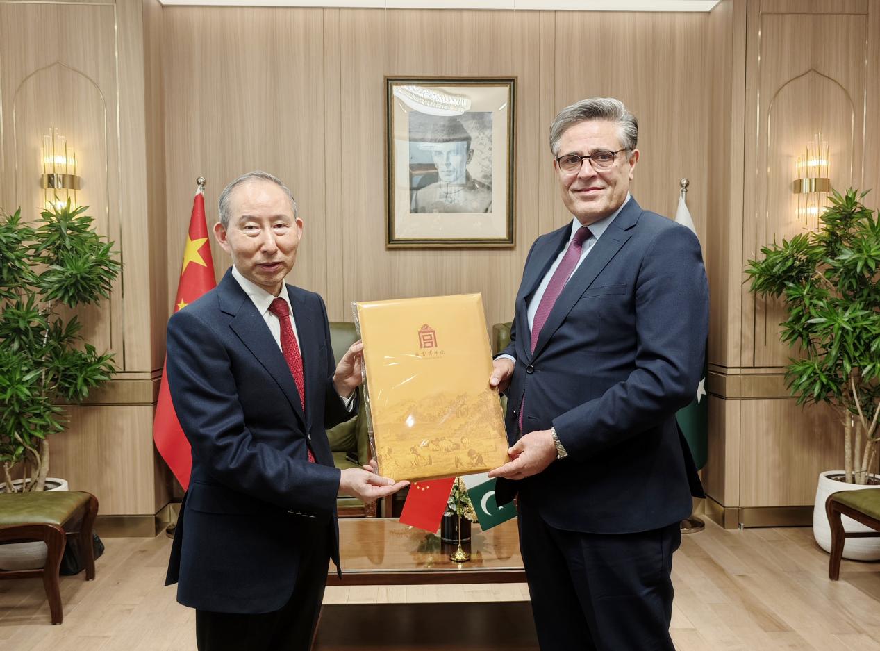 龙宇翔与巴基斯坦驻华大使卡里尔·哈什米亲切会见
