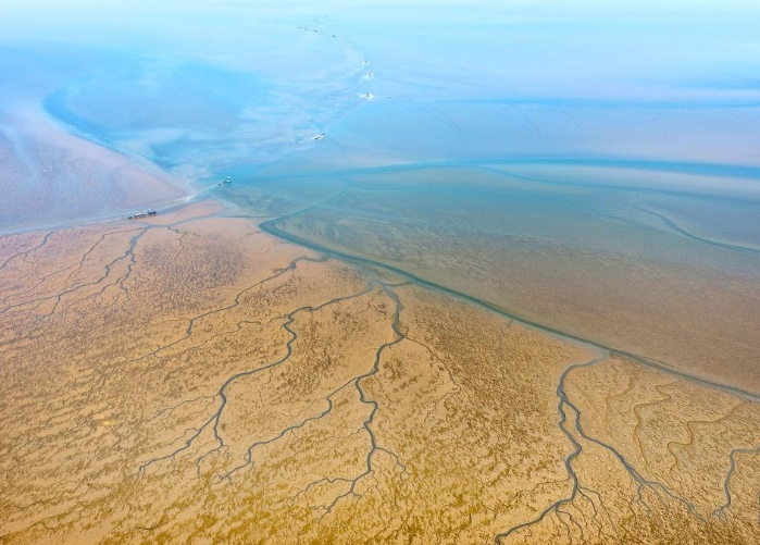 江苏如东：收获头水紫菜