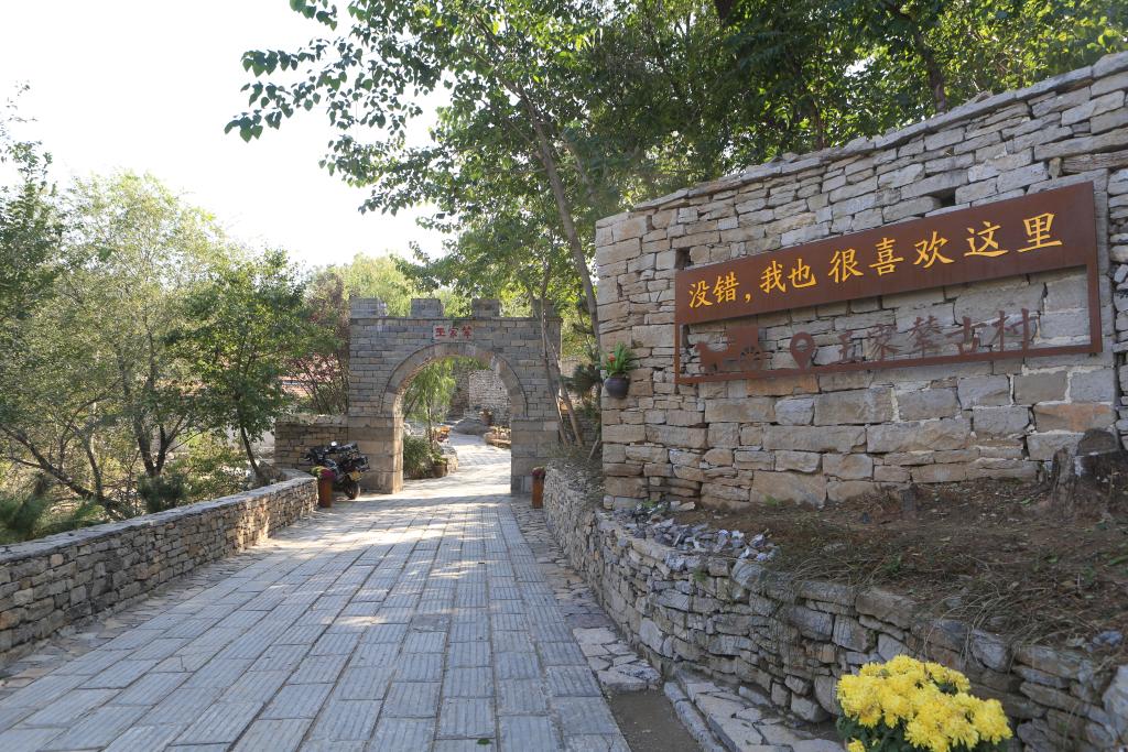 一盘棋 一条心——山东青州墨龙谷连片振兴见闻